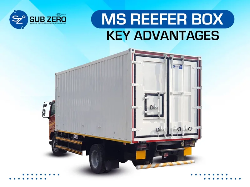 What Is an MS Reefer Box? Key Advantages and Real-World Applications